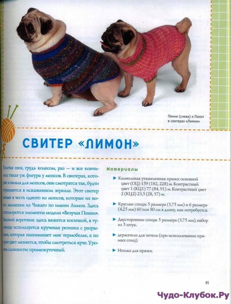Вязаная одежда для собак крючком схемы для начинающих Мопс