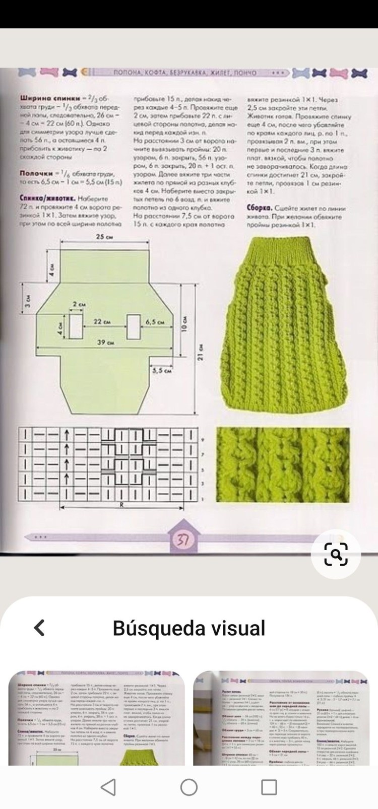 Вязаная кофта для собаки спицами схемы для начинающих