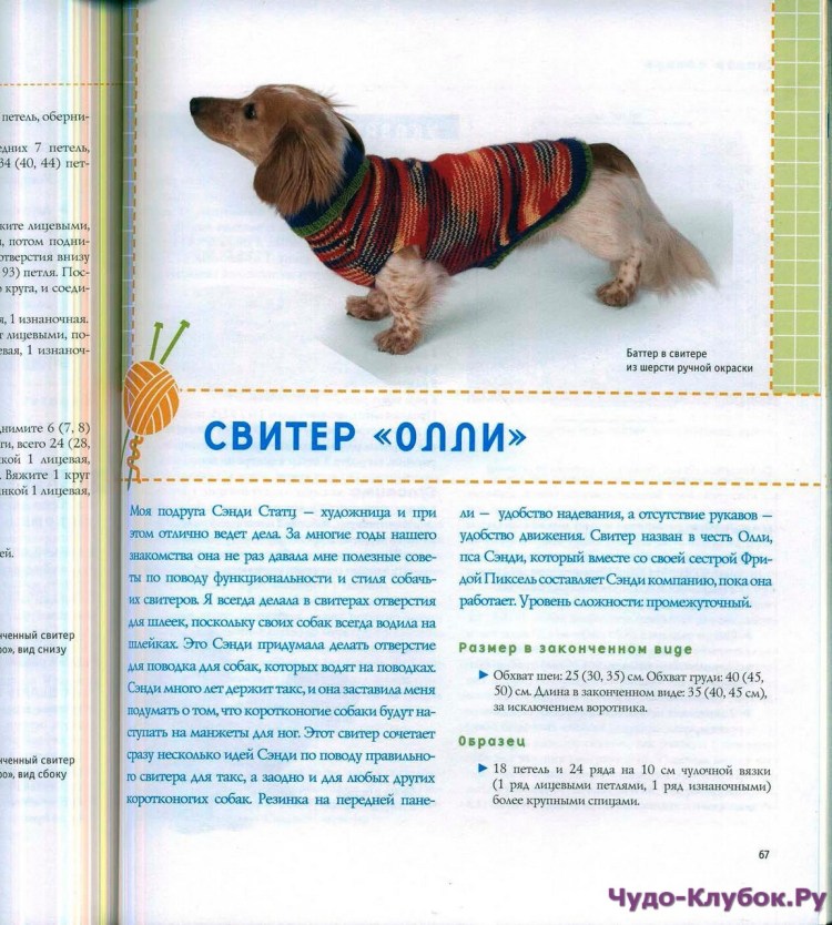 Выкройка одежды для собак средних пород в натуральную