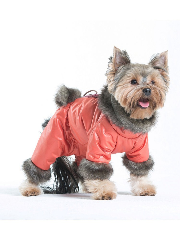 Комбинезон для собак Yoriki спектр