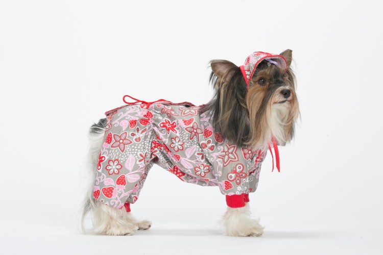 Yoriki собаки жилет для собак страйп зеленый унисекс р, l, 28 см 791-28