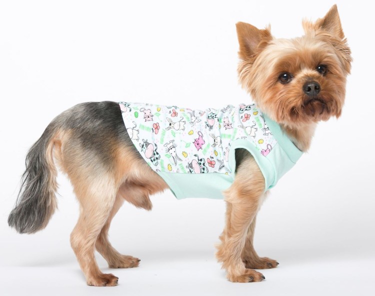 ЗООБУМ товары для животных