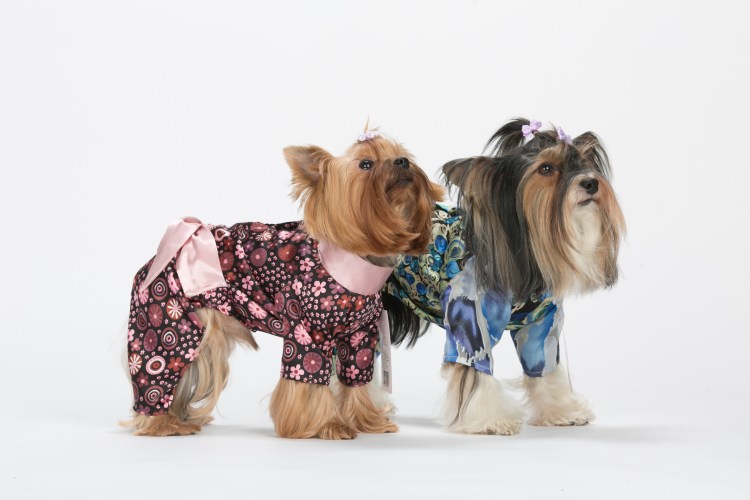 Комбинезон Yoriki Beethoven