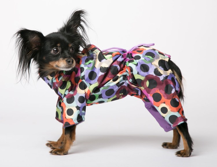 Yoriki одежда для собак