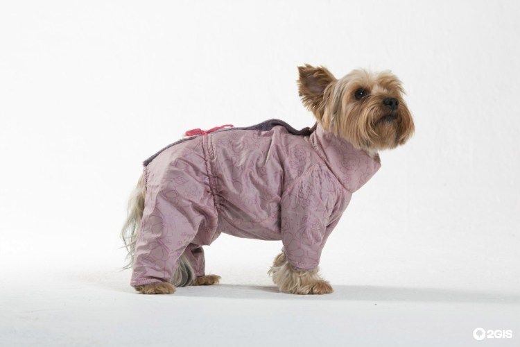 Комбинезон для собак Yoriki