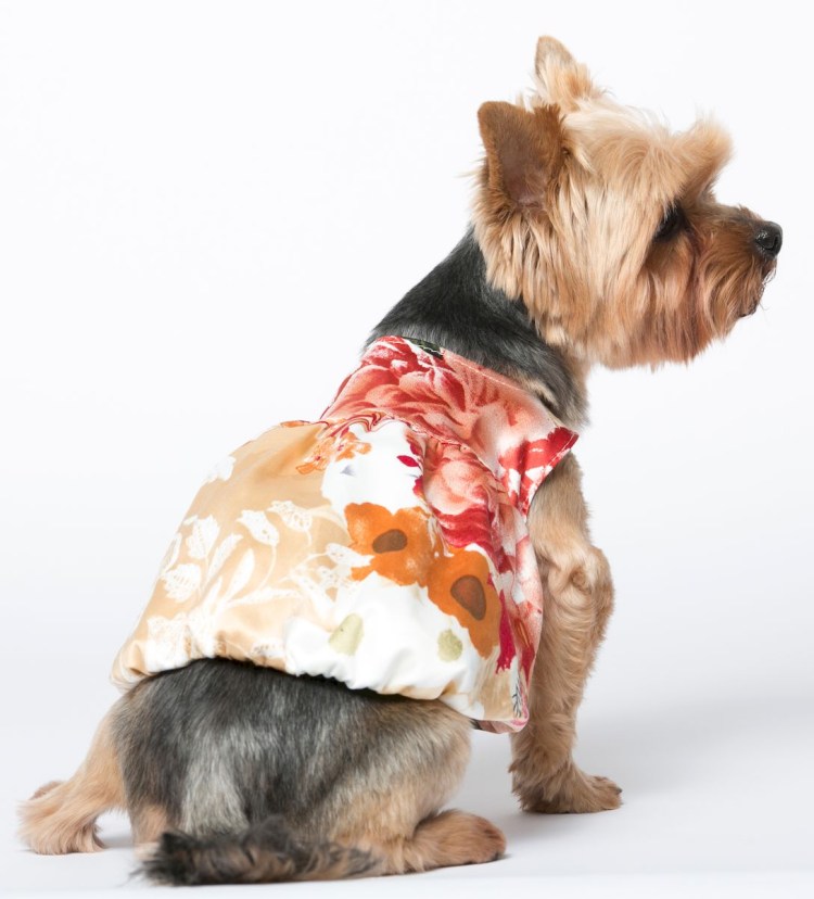 Жилет йорики