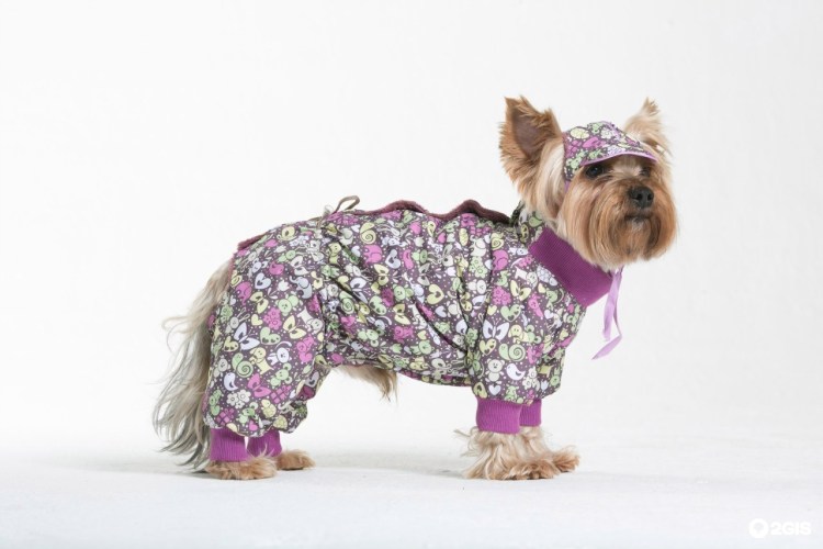 Комбинезон Yoriki Beethoven