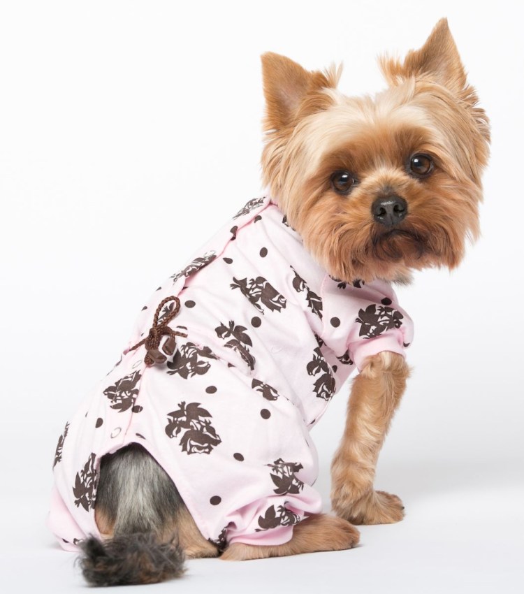 Одежда для маленьких собак