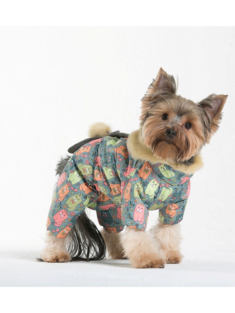 Комбинезон для собак йорики