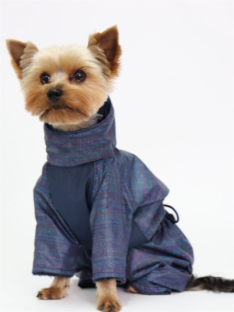 Yoriki попона купить в Москве