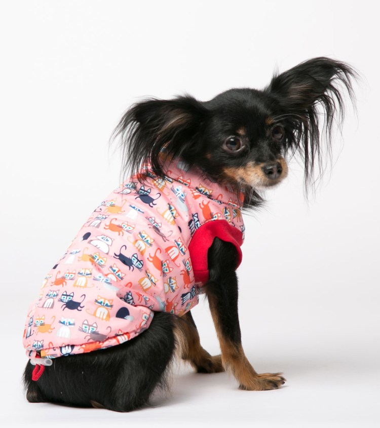 Шапка для собак Yoriki