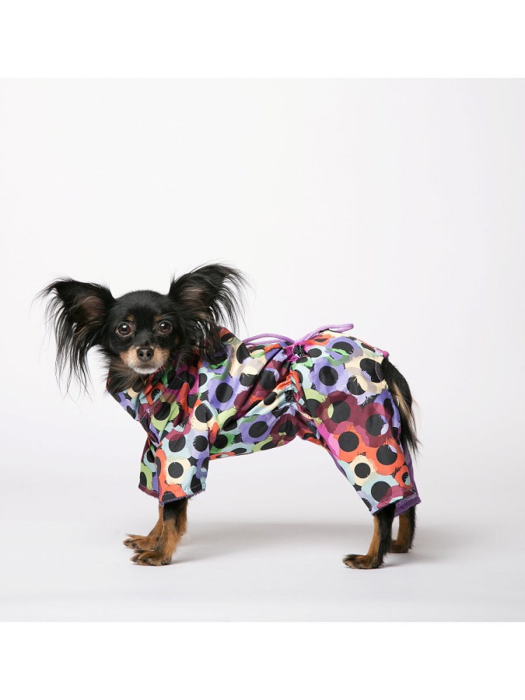 Комбинезон для собак Yoriki