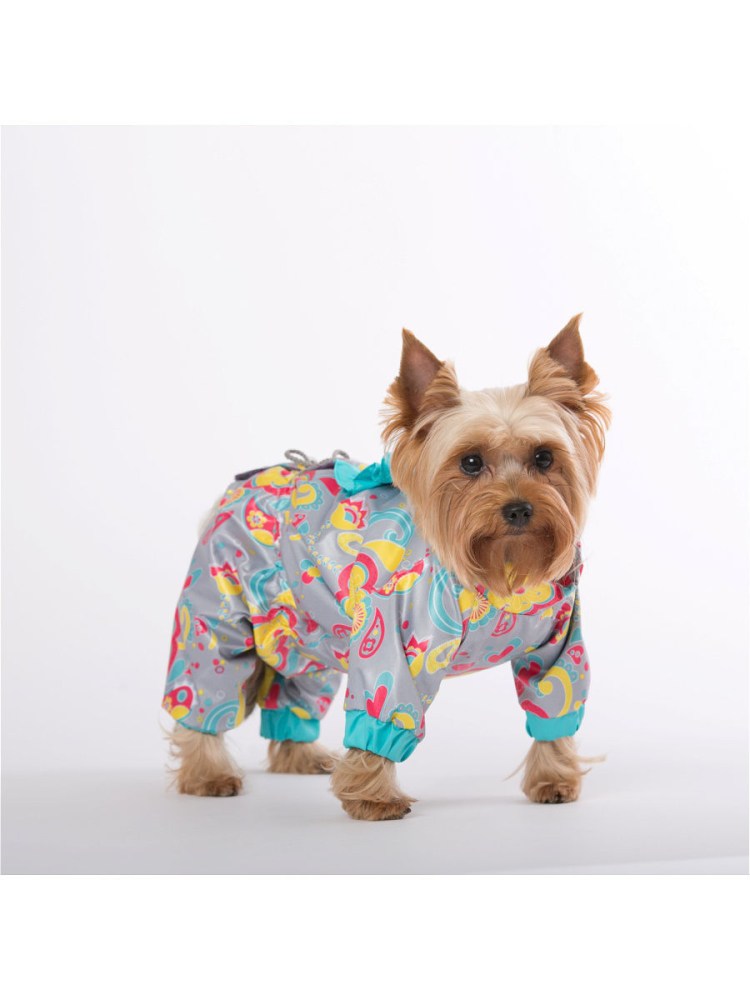 Йорик собака в футболке