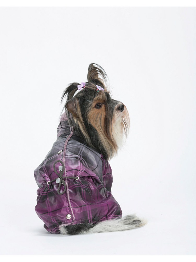 Зимний комбинезон для Йорка