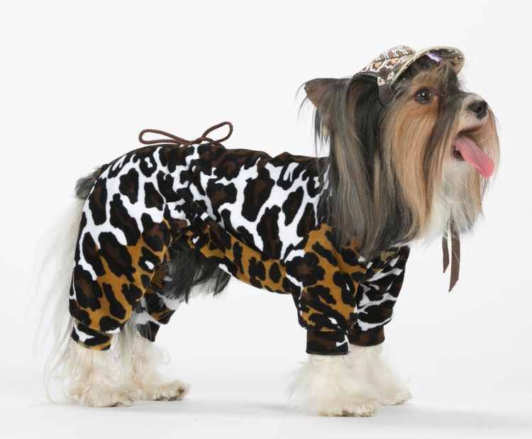 Yoriki одежда для собак