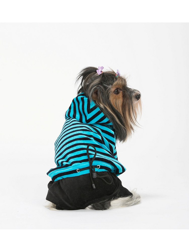 Шапки для собак йорики