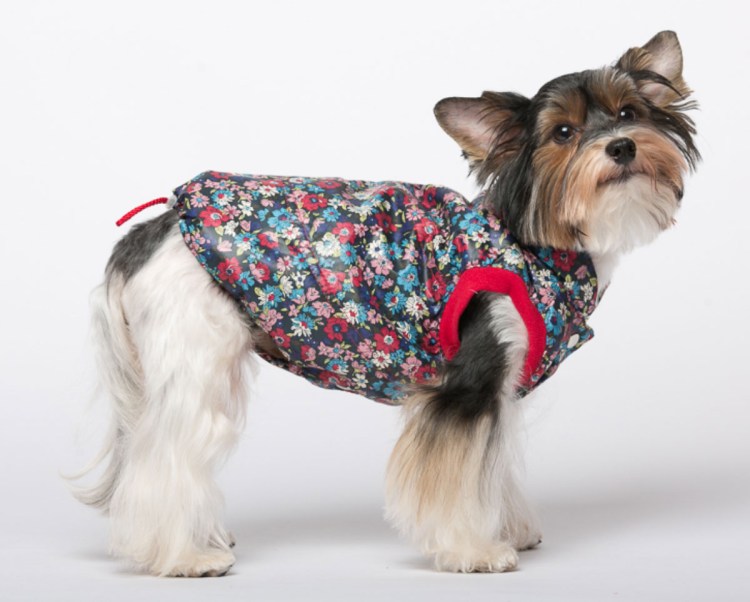 Йорики дождевик