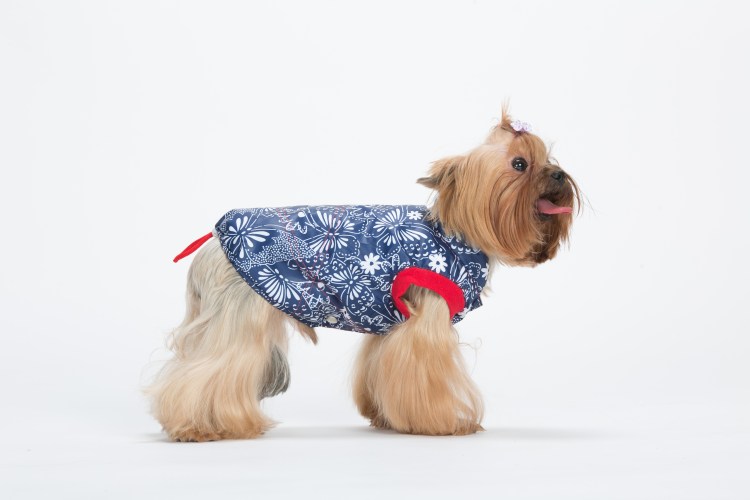 Комбинезон для собак йорики