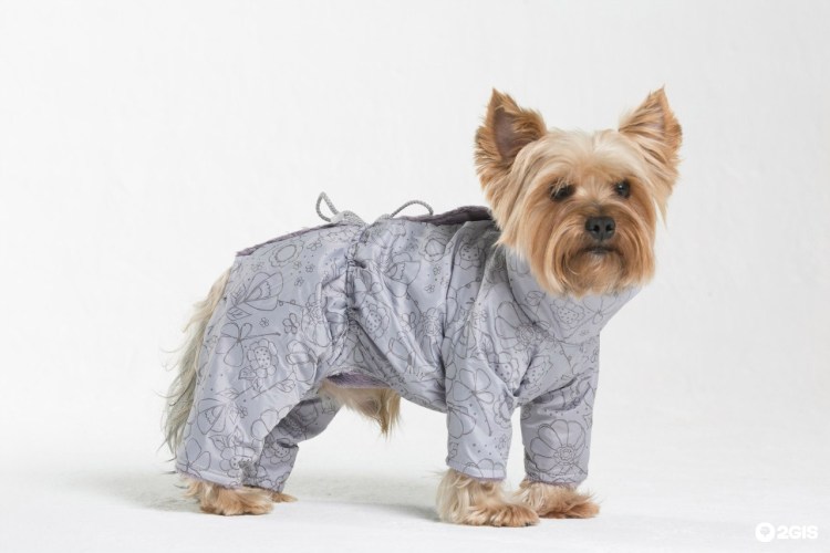 Yoriki: шапочка