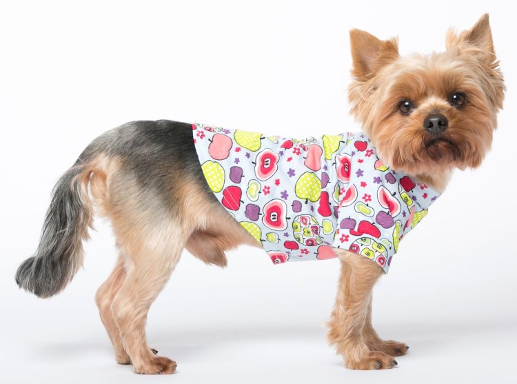 Халат шёлк для собак йорики