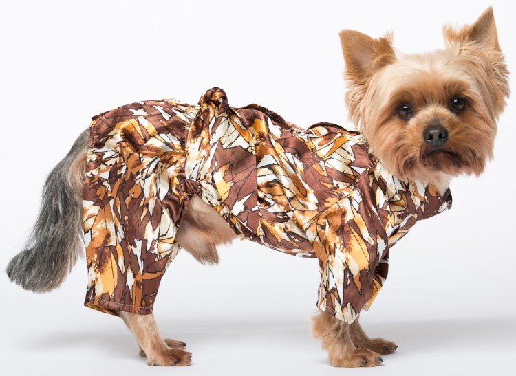 Костюм велюровый для собак йорики