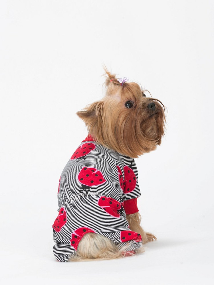 Комбинезон для собак Yoriki