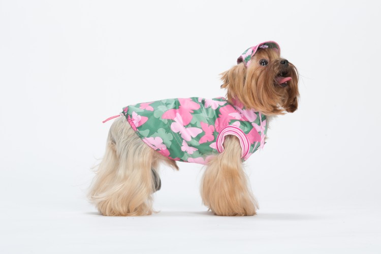 Попоны Ёрики для собаки