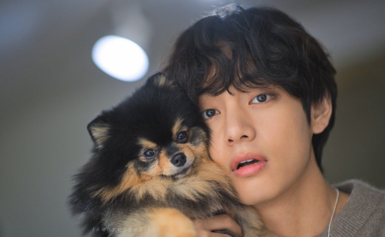 РЭПМОН собака Намджуна