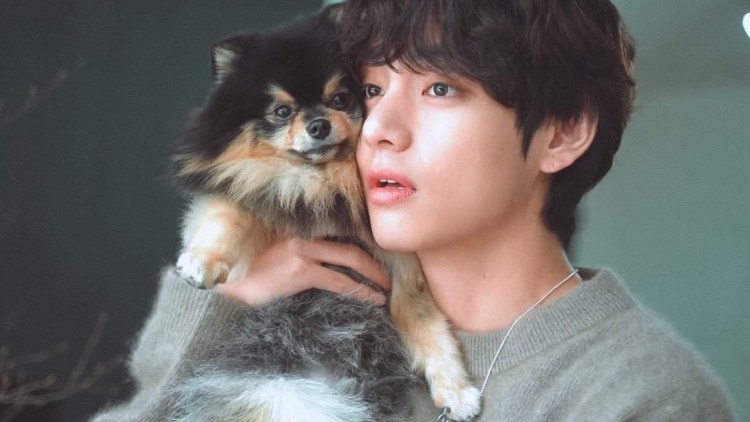 Юнги и Холли