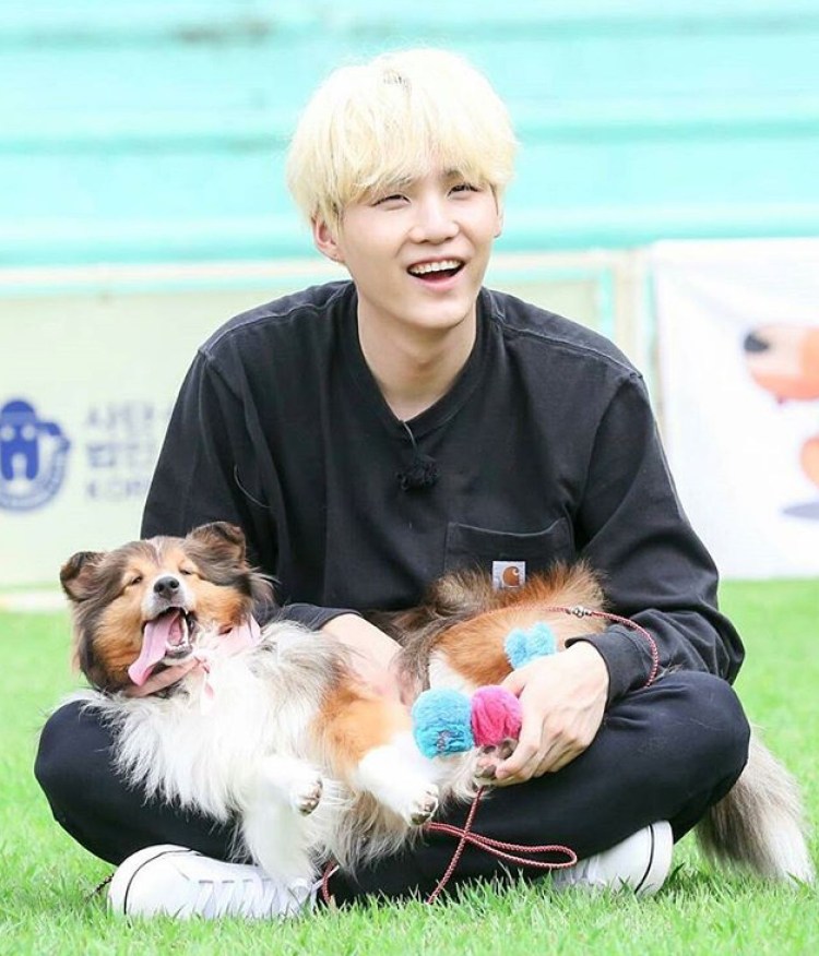 Питомцы БТС Чимин