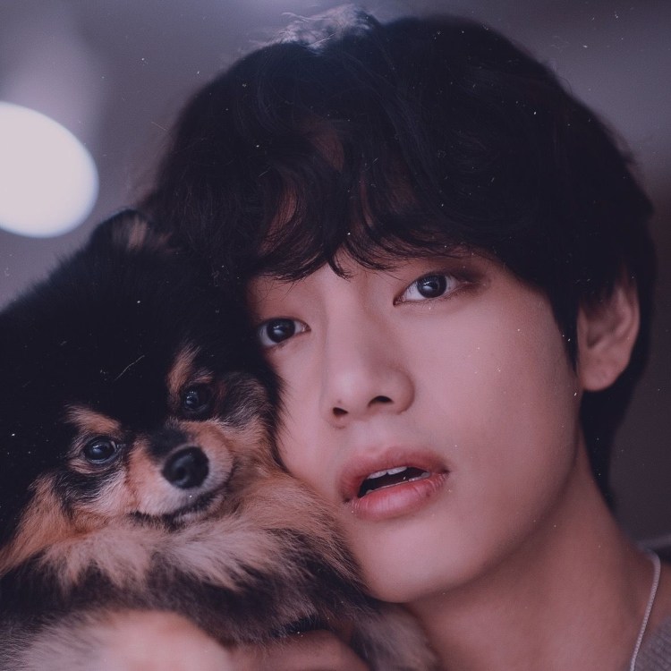 БТС Тэхен с собачкой