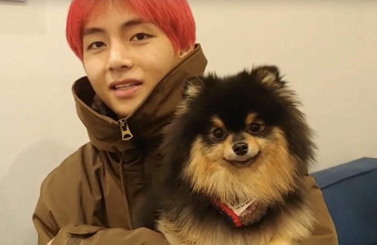 Собака тэхёна BTS