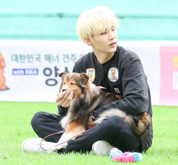 БТС Чимин собачка