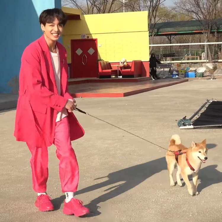 Собака Ким Тэхена