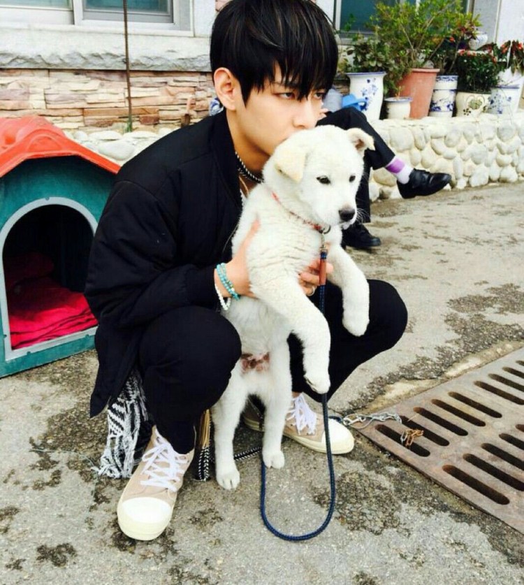 Шпиц Ентан БТС