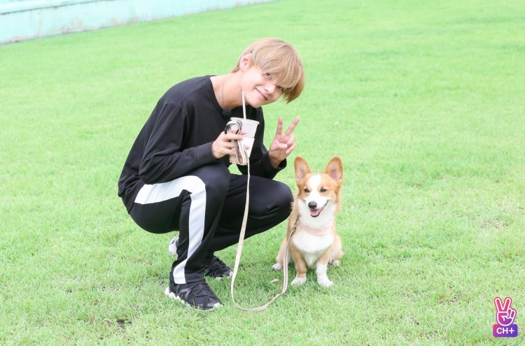 Ким тэхён с ёнтаном