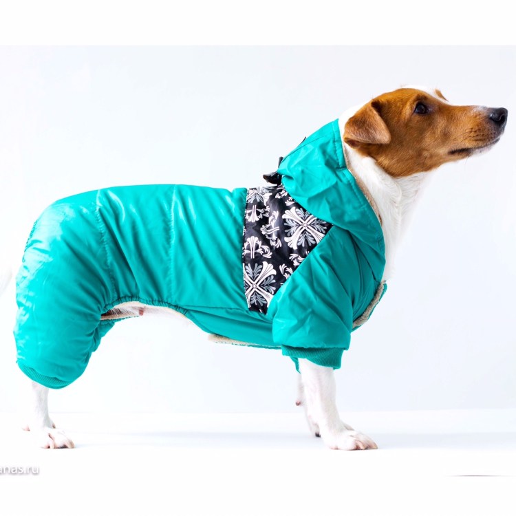 Комбинезон зимний "Джек Рассел терьер", 30см