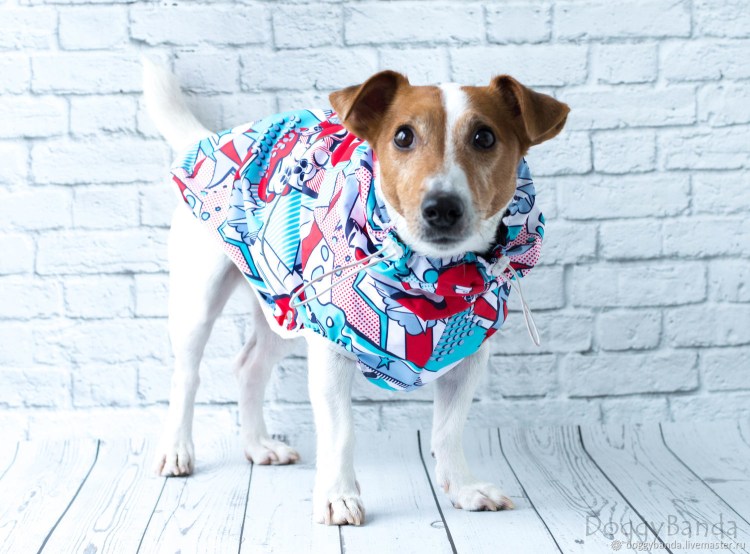 Попона для Джек Рассел терьера