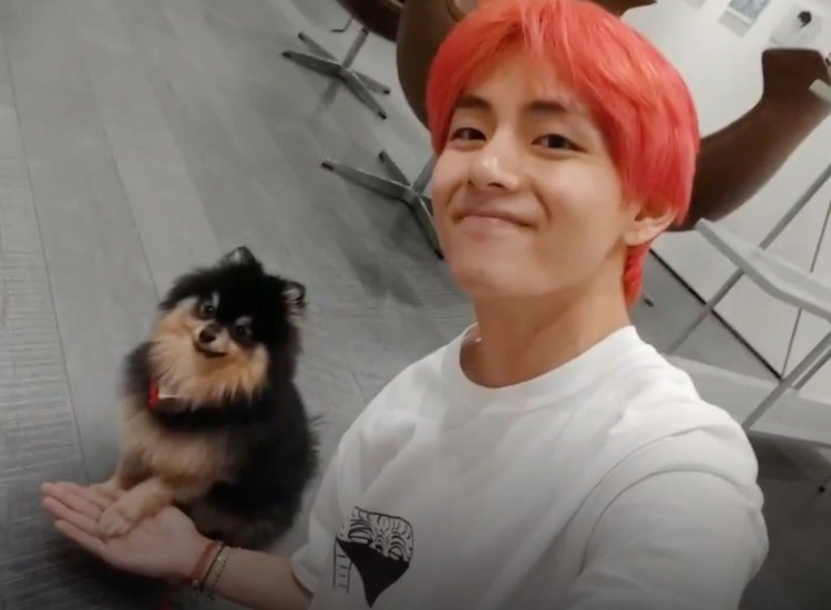 Ким тэхён и ёнтан