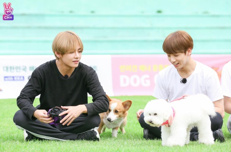 Микки собака Чон Хосока