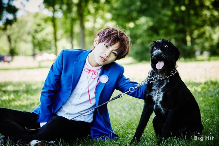 Корейские щенки