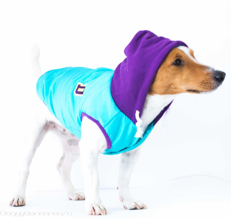 Куртка Джек-Рассел Adidog