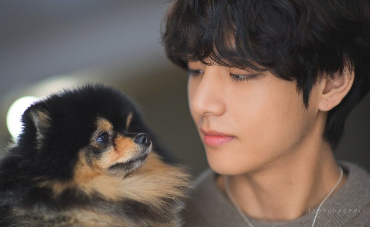 Тэхён БТС С собакой