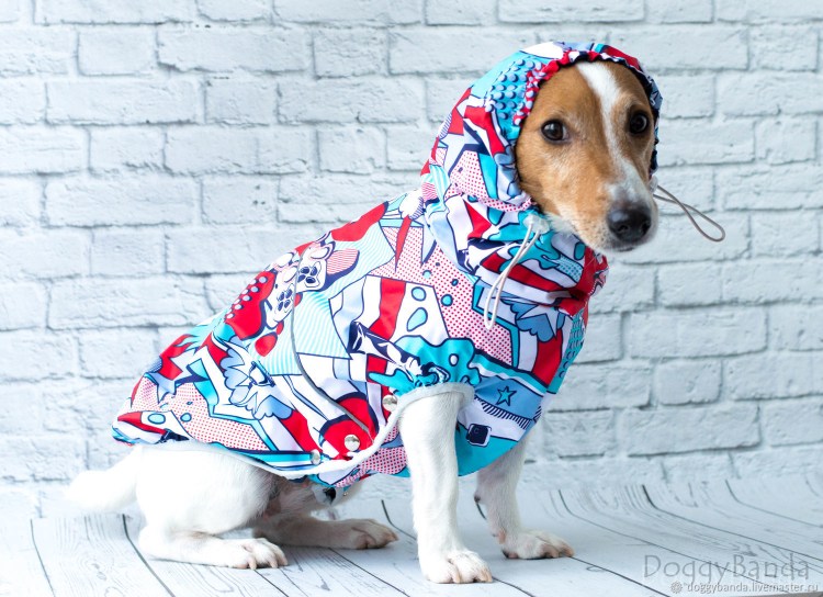 Дождевик для Джек Рассела