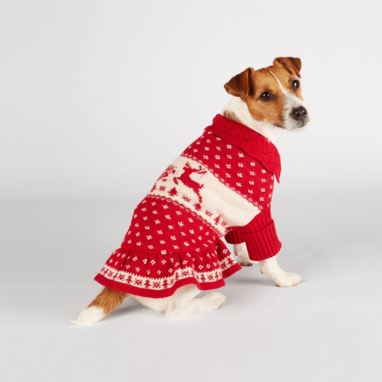 Вязаное платье для Джек Рассела