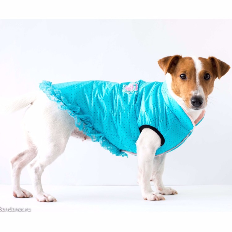 Комбинезон-дождевик Джек Рассел терьер 30см гамма