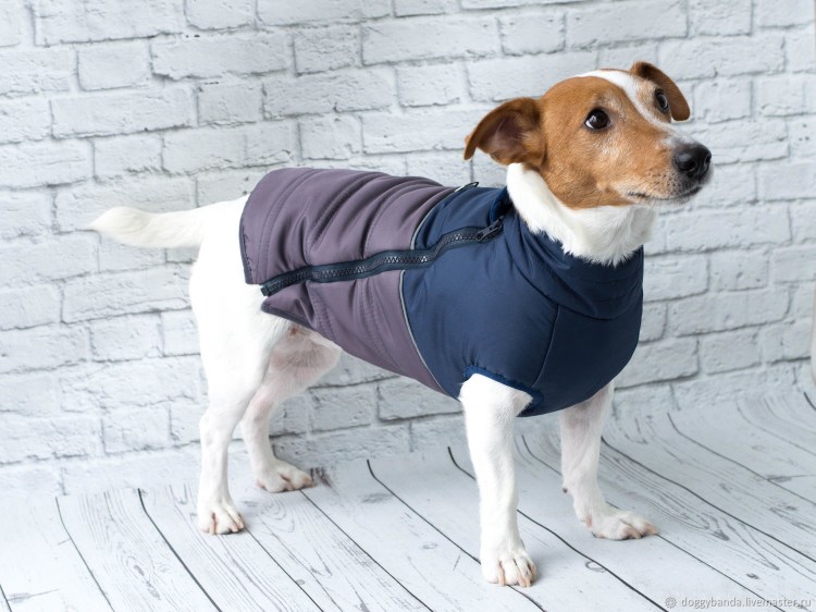 Попона для Джек Рассела