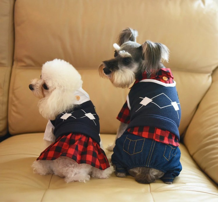 Одежда для животных