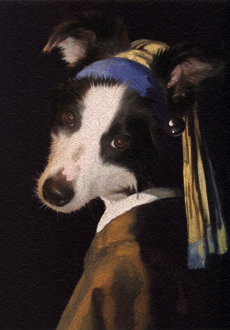 Йоркширский бультерьер