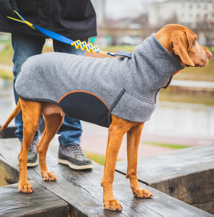 Комбинезон Тузик овчарка